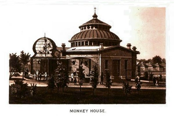 Кракен марке