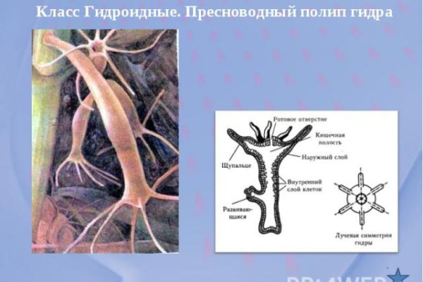 Кракен сайт для наркоманов